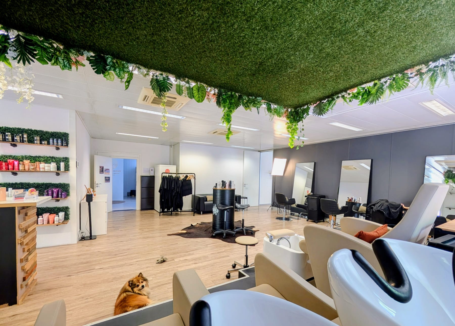 Espace coiffure et bacs à shampoing sous plafond végétal